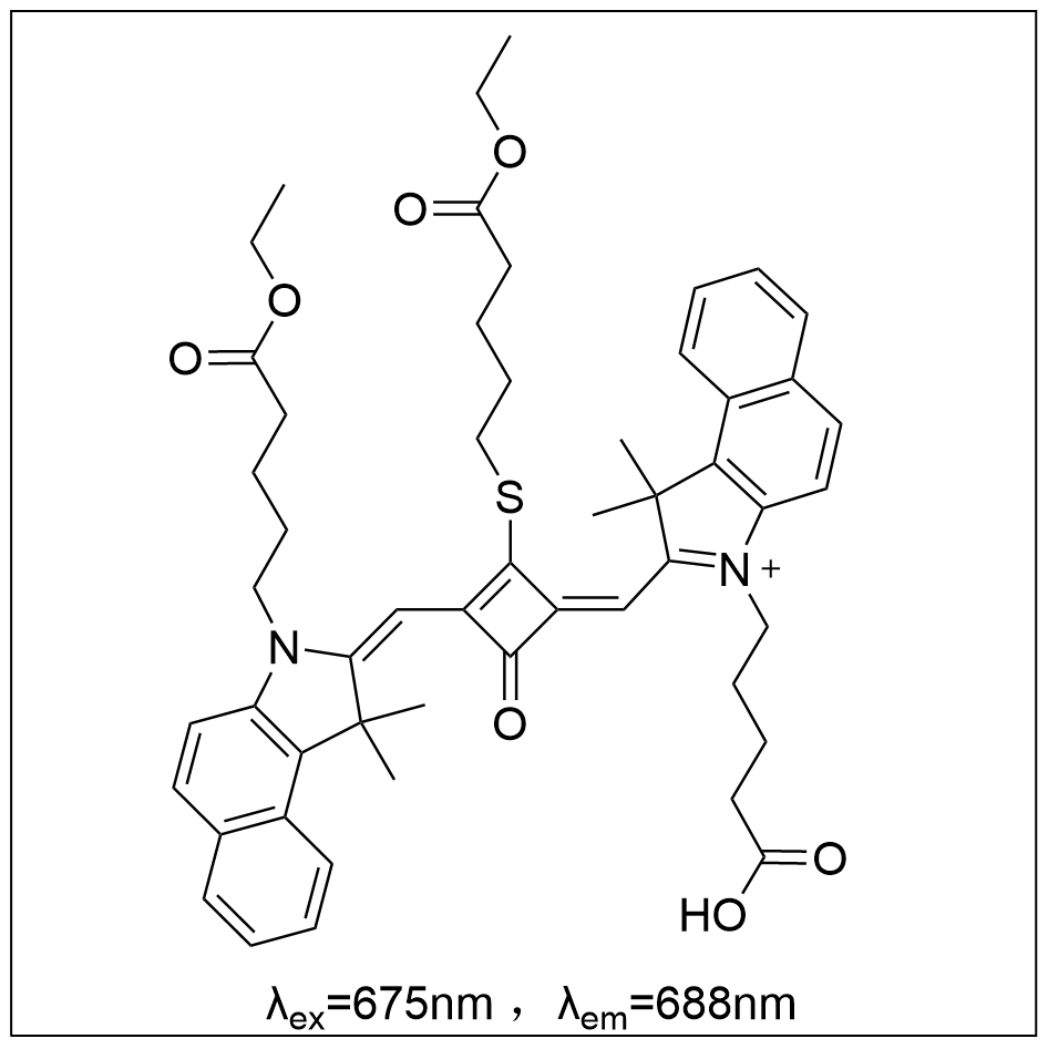 固定型硫方酸