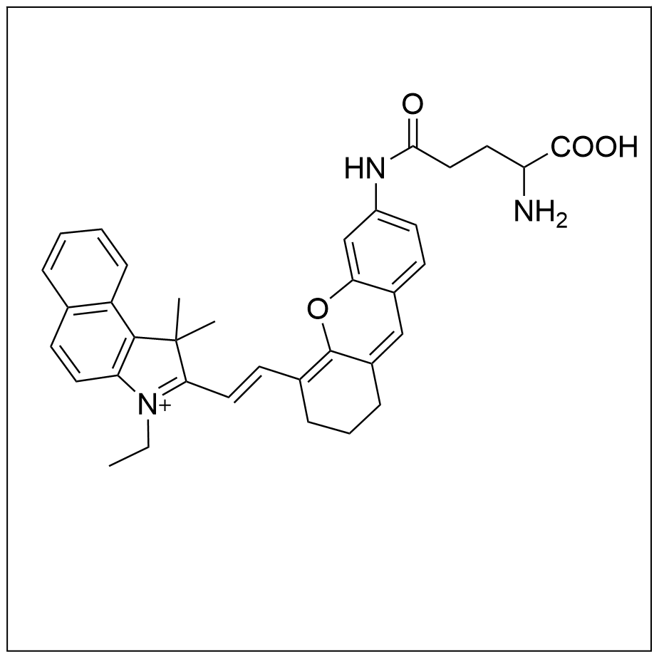γ-谷氨酰转肽酶(GGT)荧光探针
