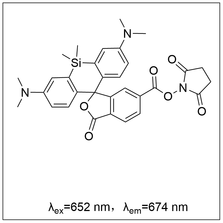 硅基罗丹明-琥珀酰亚胺酯 SiR-NHS ester