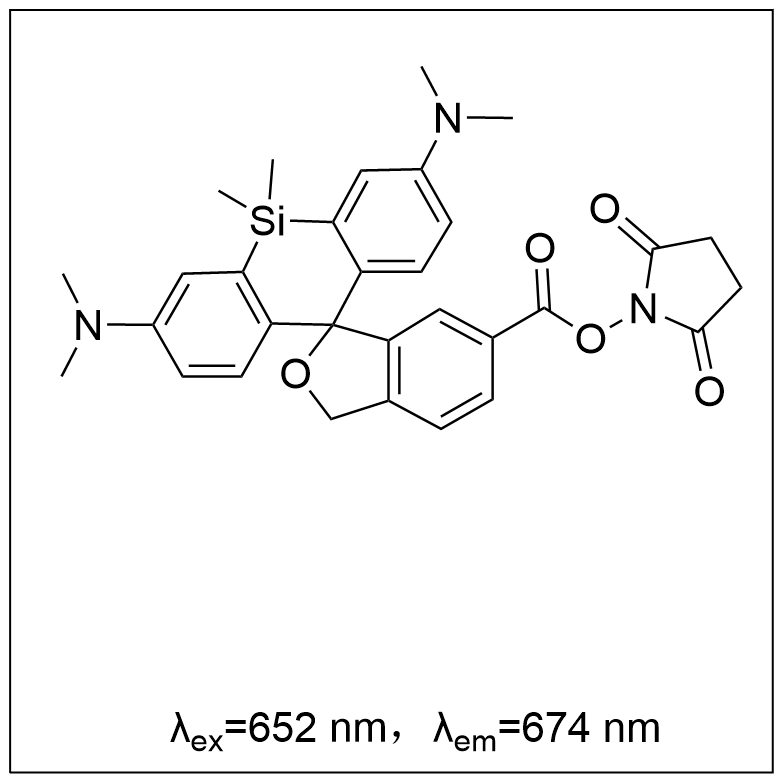 SiR-NHS ester 硅基罗丹明-琥珀酰亚胺脂