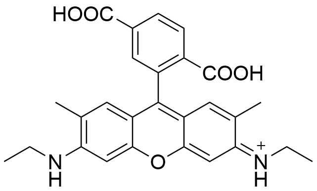 6-羧基罗丹明6G