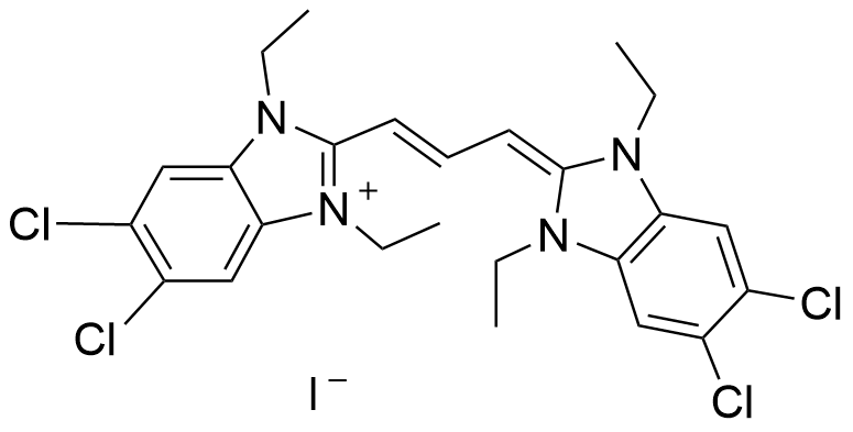 靶向荧光探针JC-1